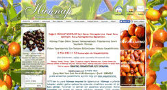 Desktop Screenshot of hunnapci.com